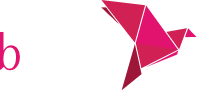 bkash-logo